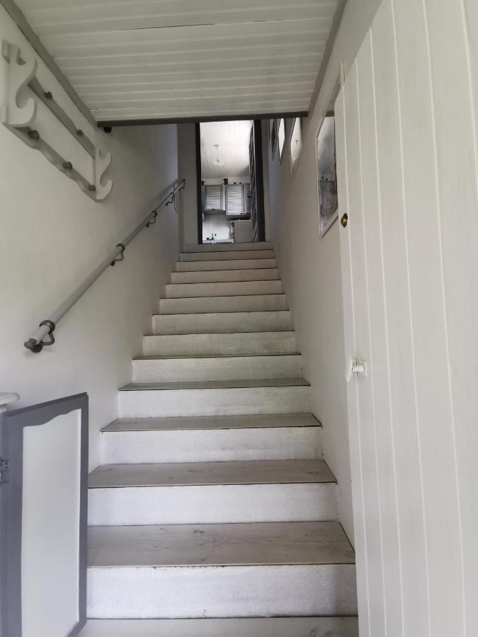 ויטרולה Guest House Provencal מראה חיצוני תמונה
